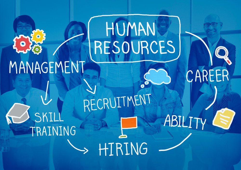 8 Best HR Management Software